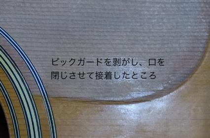 RIMG0017