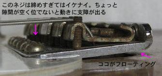 IMG1059